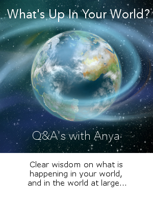 QA Cafe Q&A